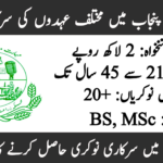Agriculture Department Punjab Jobs 2026