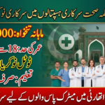 District Health Authority Punjab jobs