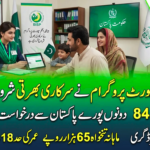 BISP Jobs 2026