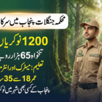 Forest Department Jobs in Punjab 2026
