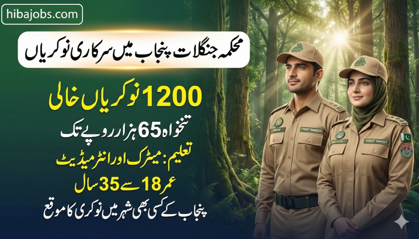 Forest Department Jobs in Punjab 2026